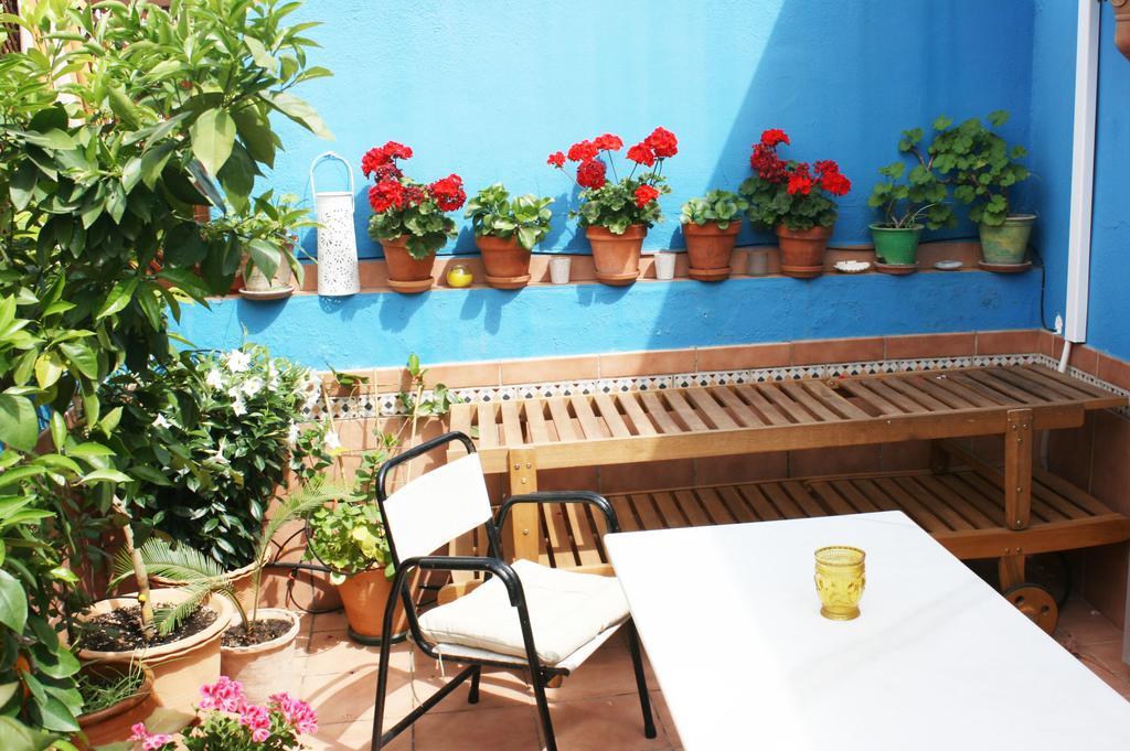 La Terraza Azul Appartement